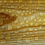 Detailed photo of water droplets on a wooden surface enhancing texture and pattern.